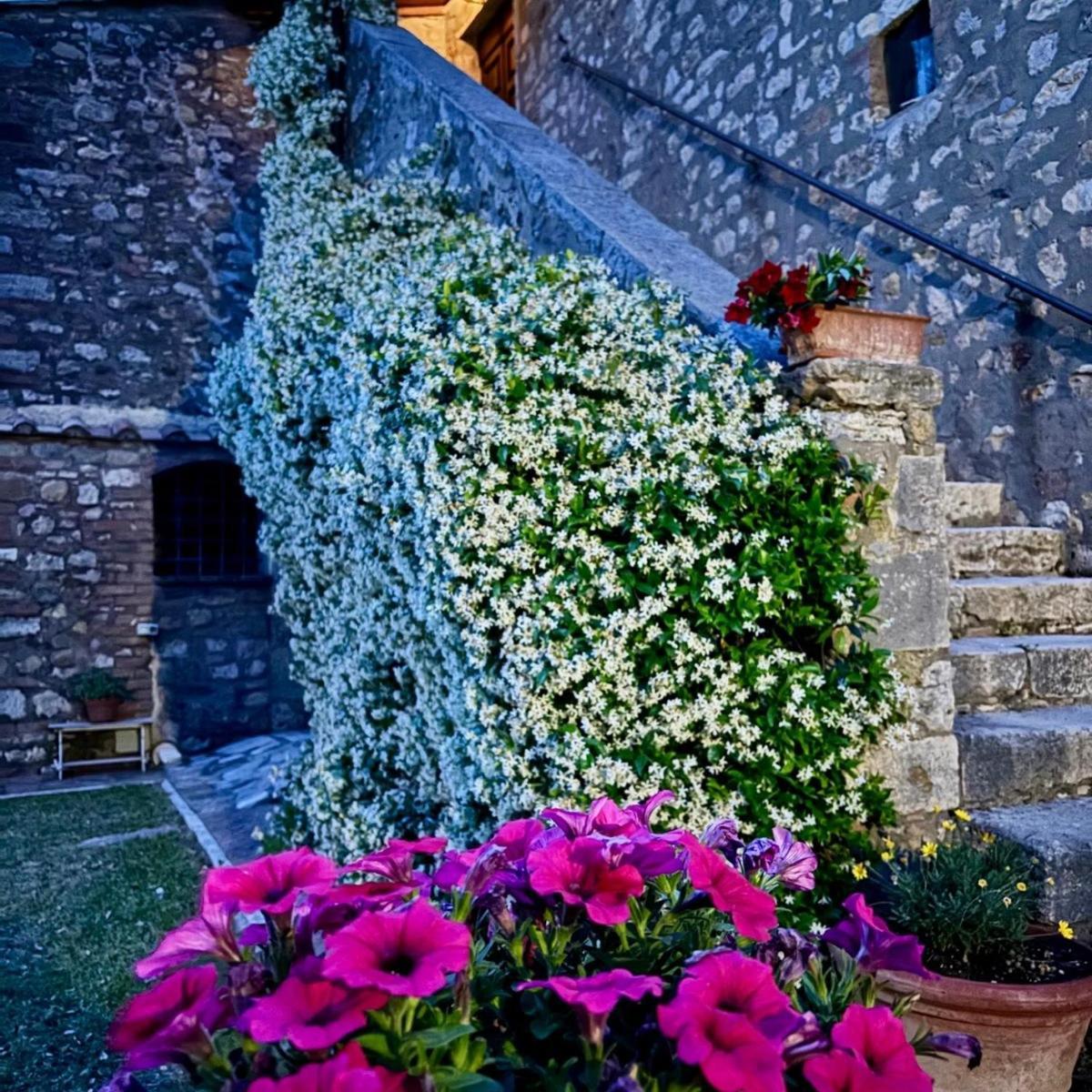 Bed and Breakfast Residenza Santa Maria In Borraccia Magliano in Toscana Exterior foto