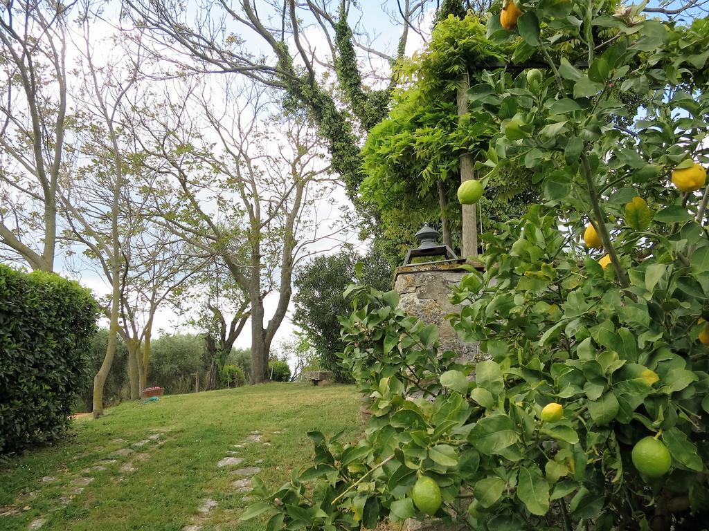 Bed and Breakfast Residenza Santa Maria In Borraccia Magliano in Toscana Exterior foto